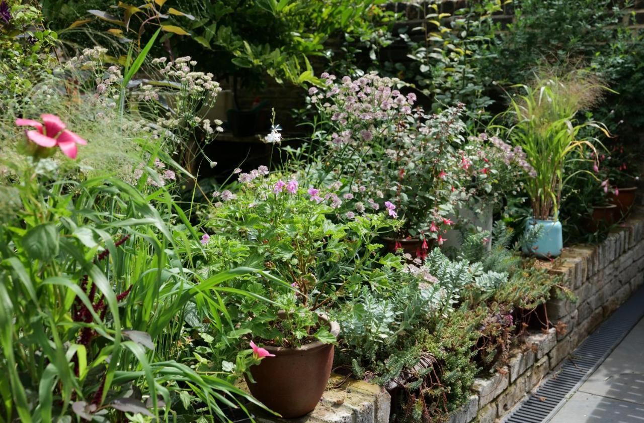 Bright And Elegant 2 Bedroom Flat, Near Notting Hill 런던 외부 사진