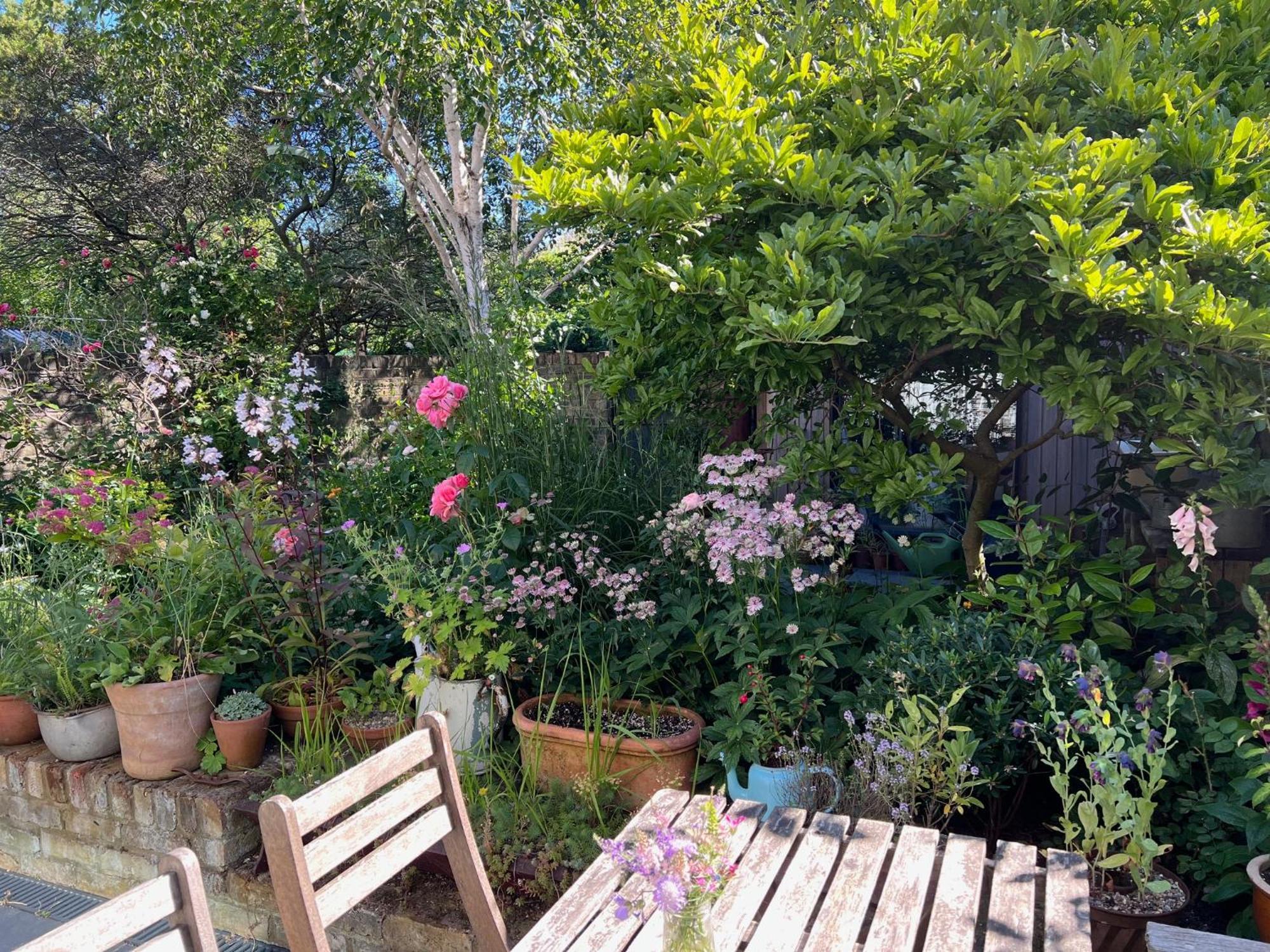 Bright And Elegant 2 Bedroom Flat, Near Notting Hill 런던 외부 사진