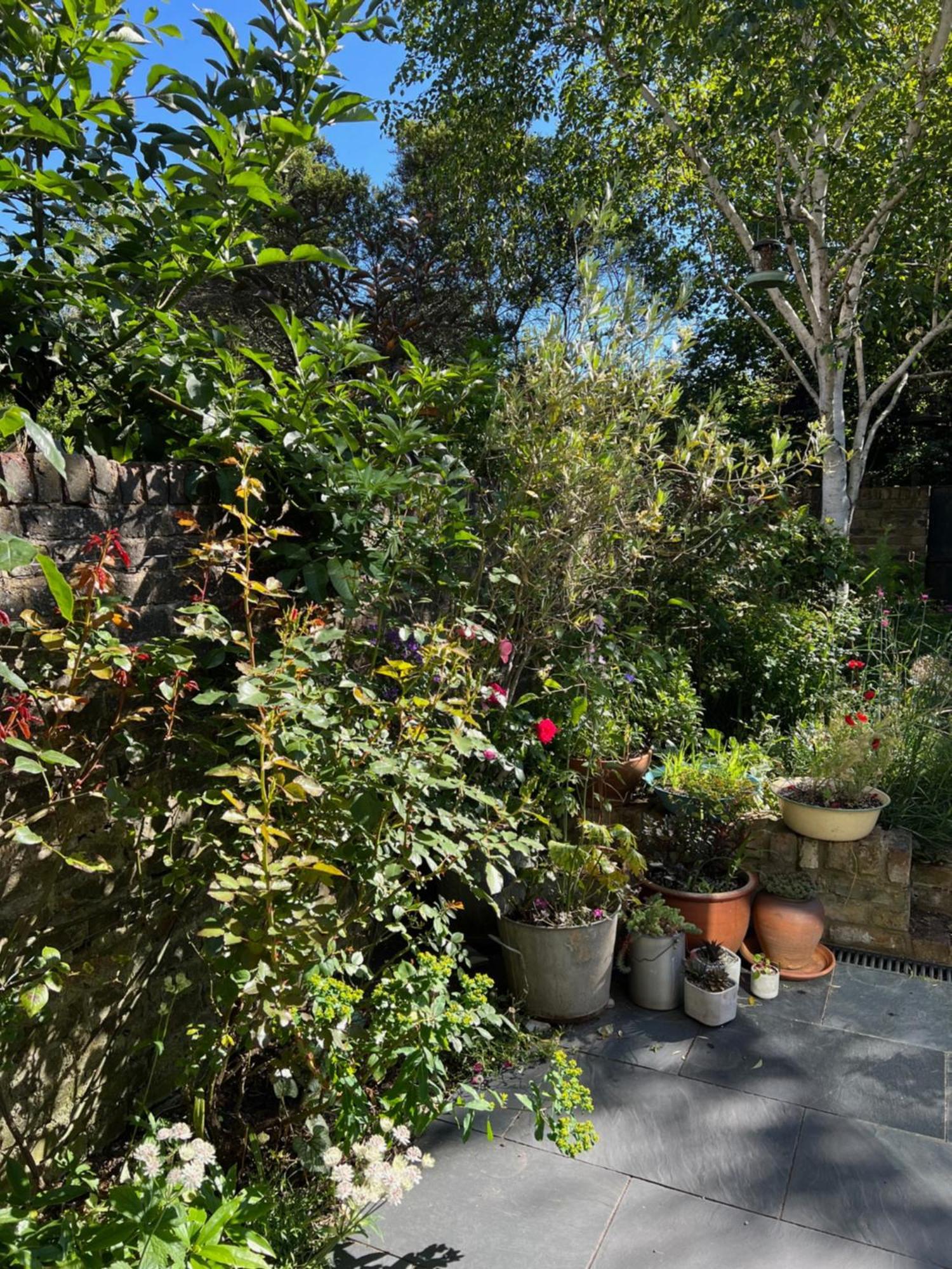 Bright And Elegant 2 Bedroom Flat, Near Notting Hill 런던 외부 사진