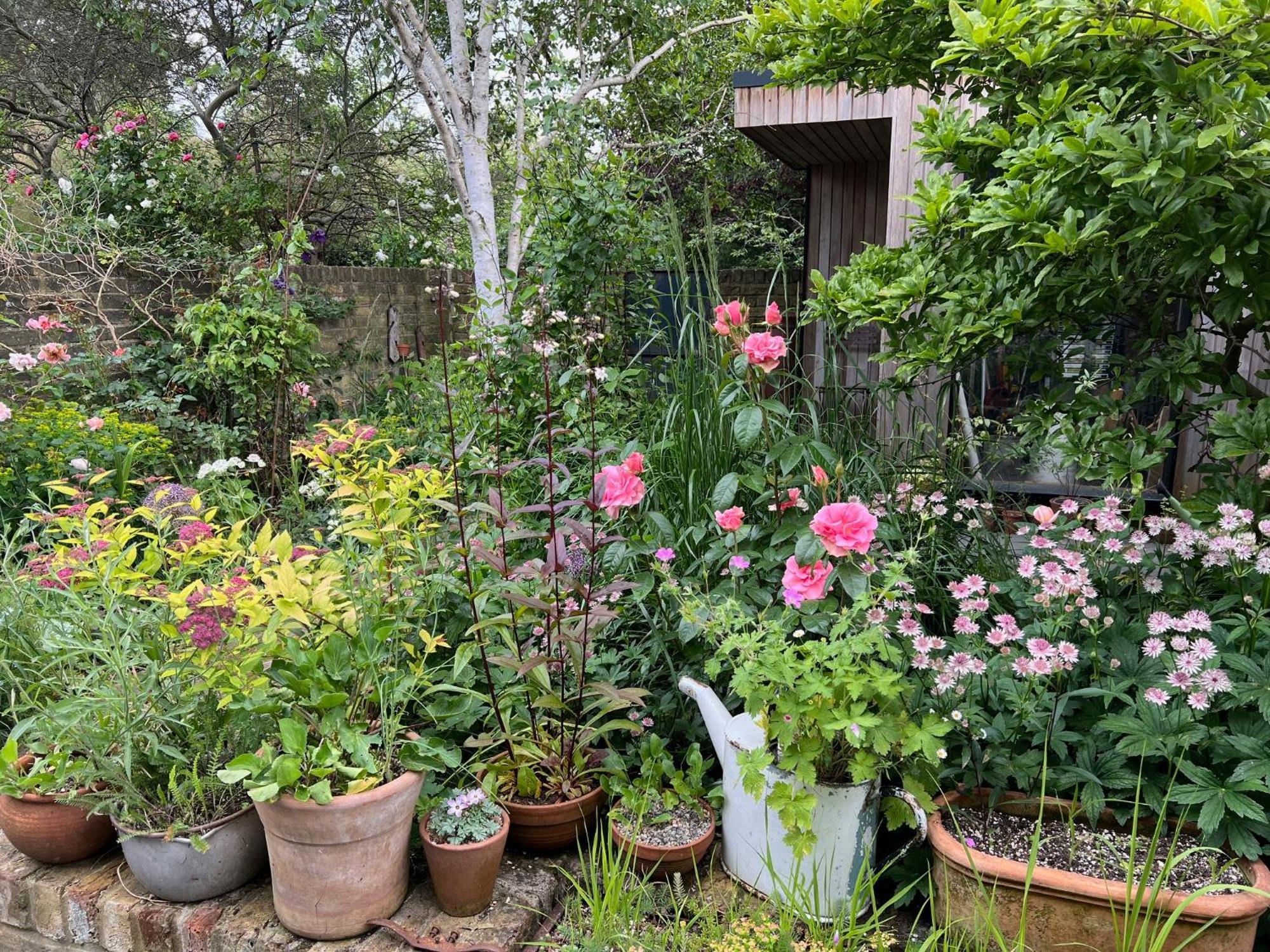 Bright And Elegant 2 Bedroom Flat, Near Notting Hill 런던 외부 사진