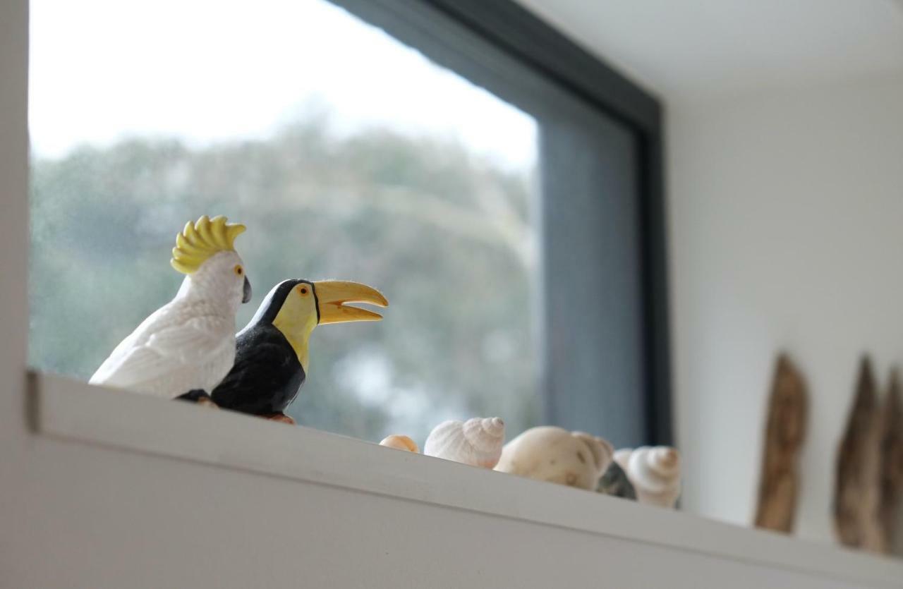 Bright And Elegant 2 Bedroom Flat, Near Notting Hill 런던 외부 사진